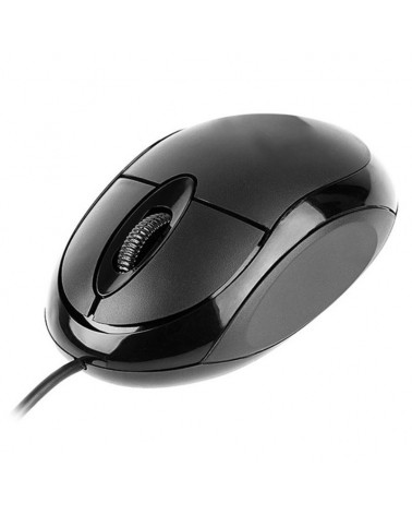Mouse USB TRACER KTM45906 3...