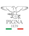 Pigna